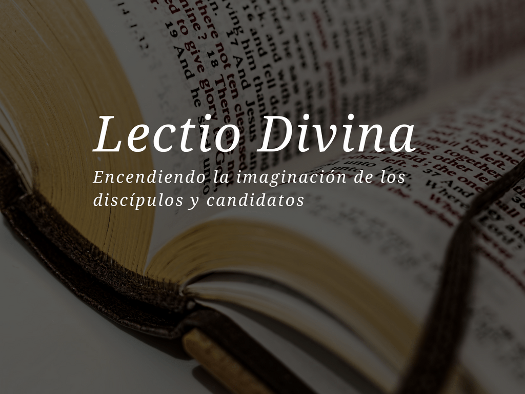 Lectio Divina – October 8, 2023